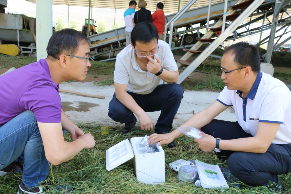 【新华社】"草状元"郭旭生:小牧草成就大梦想