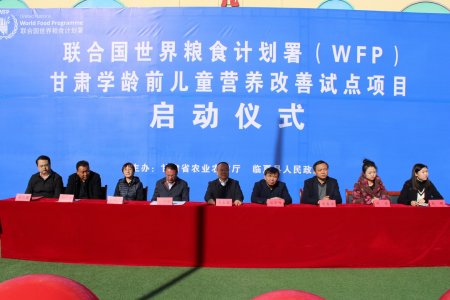 公共卫生学院青年教授张莹博士再获联合国世界粮食计划署（WFP）项目资助