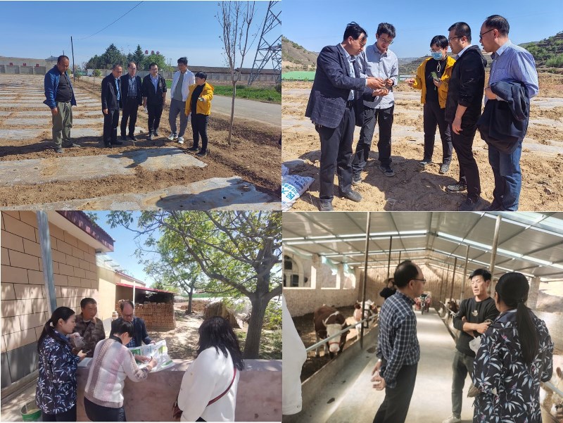 草地农业科技学院教师在甘肃宁县、镇原县、环县开展种草养畜科技帮扶活动