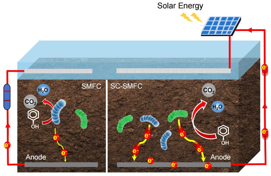 威尼斯wnsr888本科生在新型太阳能-土壤微生物燃料电池系统构建方面取得新发现