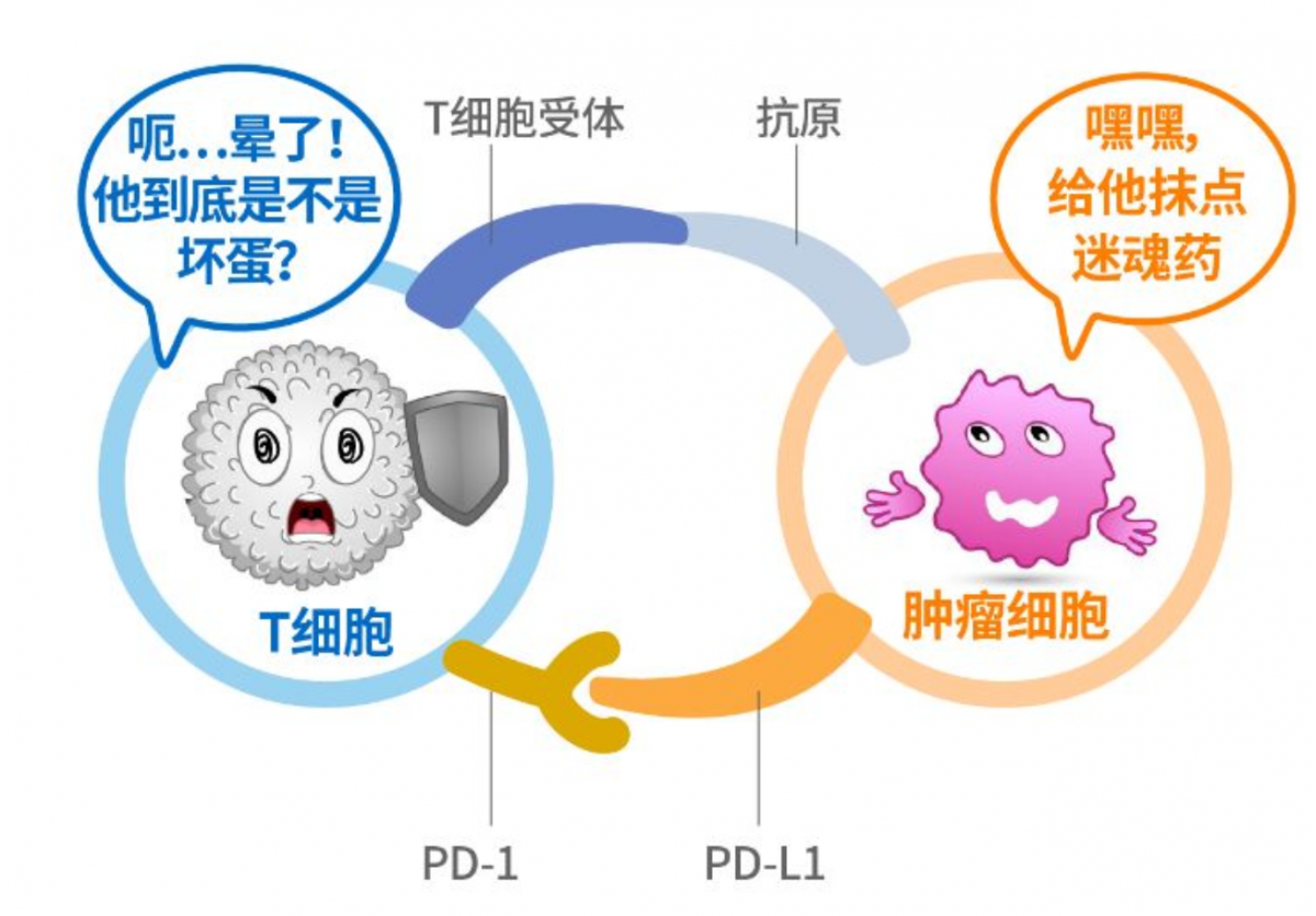 蘭州大學第二醫院腫瘤外科成功實施兩例腫瘤免疫治療