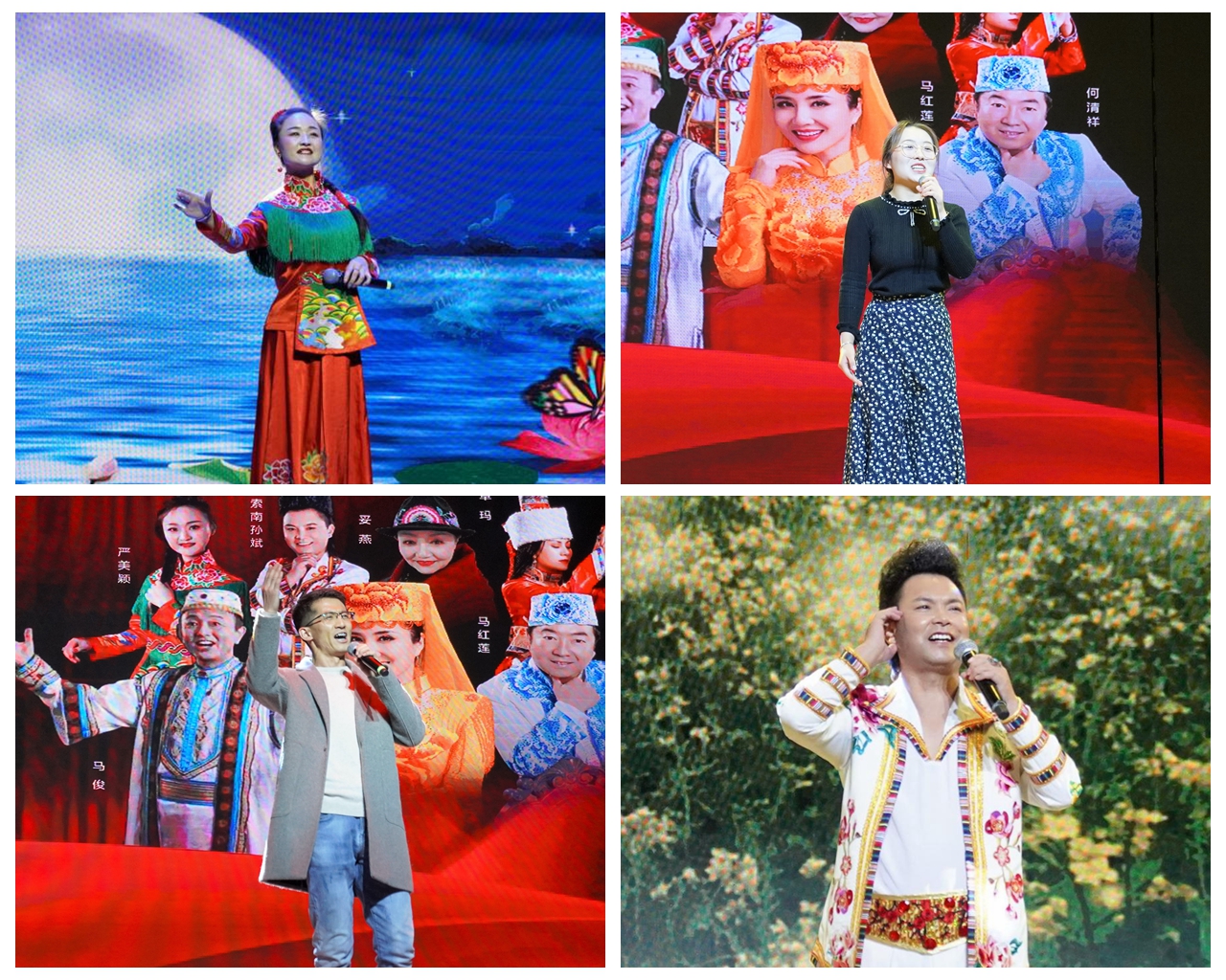 藏族花儿歌手索南孙斌,花儿传承人,歌手妥燕,藏族花儿歌手卓玛,青海省