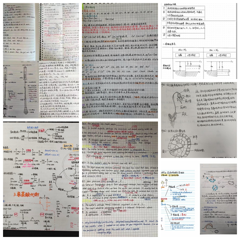 疫情优质经验期间工作方案_疫情工作经验总结_疫情期间优质工作经验