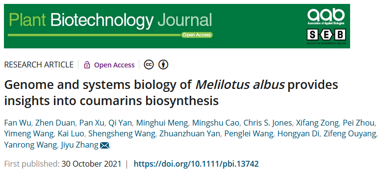 兰州大学草地农业科技学院利用基因组学及系统生物学揭示了白花草木樨香豆素生物合成分子机制 兰州大学新闻网