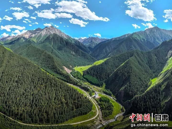 图为张掖南部祁连山壮美景色。张掖市林草局供图